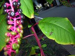 PICT0002.jpg